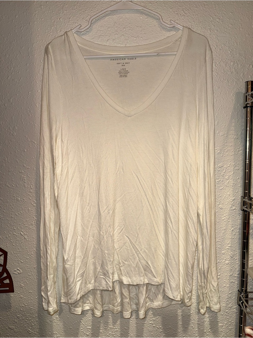 American Eagle Outfitters Long Sleeve V-Neck Top in Ivory